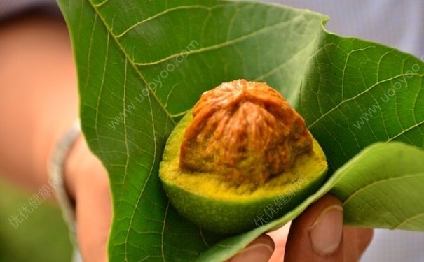 核桃青皮如何染发？怎么用青皮核桃染发？(1)
