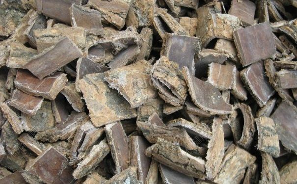孕妇可以吃杜仲吗？孕妇吃杜仲有副作用吗？(1)