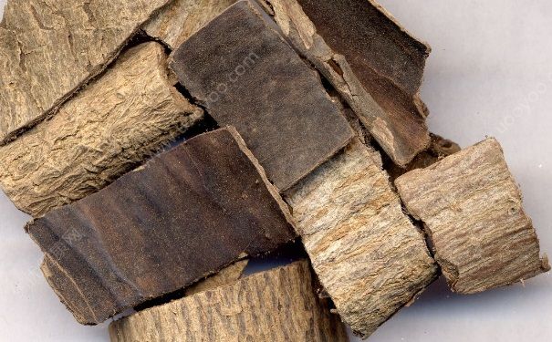 杜仲怎么吃效果最好？杜仲的食用方法(1)