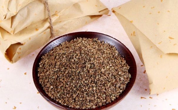 蛇床子有什么功效？蛇床子孕妇能用吗？(1)