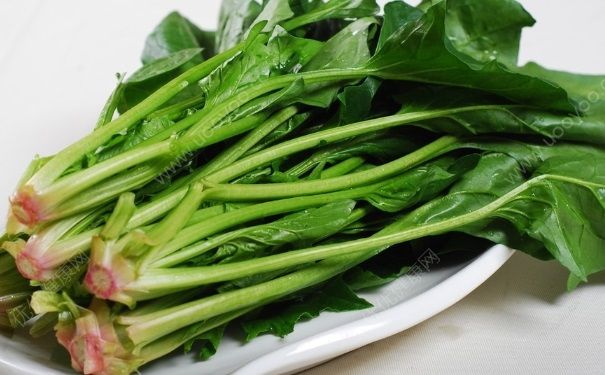 秋季如何润肺？秋季如何养生润肺？[图]