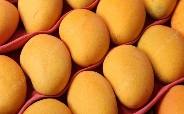 催熟芒果的方法 如何催熟芒果？[图]