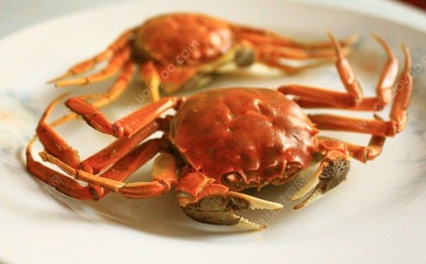 吃螃蟹要注意什么？螃蟹饮食注意事项有哪些？(1)
