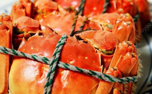 怎样挑选螃蟹？挑螃蟹的技巧[图]