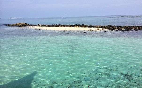 黄褐斑吃什么药能祛斑？黄褐斑吃什么中药调理？(1)