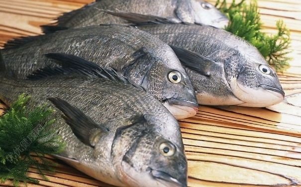 怎么判断鱼是否新鲜？如何看鱼新不新鲜？[图]