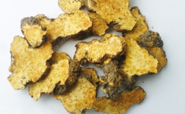 苍术是什么？苍术的作用功效？(1)