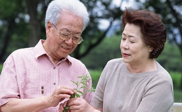 老人的饮食要注意什么？老人吃什么对身体好？[图]
