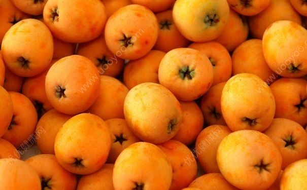 枇杷小孩能吃吗？枇杷儿童能吃吗？[图]