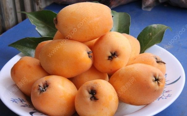 枇杷的保存方法有哪些？枇杷储存方法？[图]