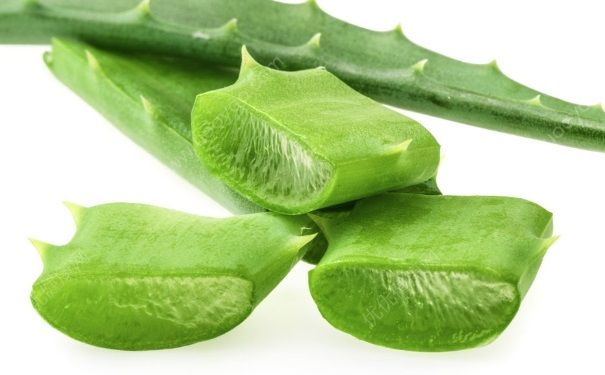 芦荟做面膜的正确方法？芦荟面膜怎么制作？(1)