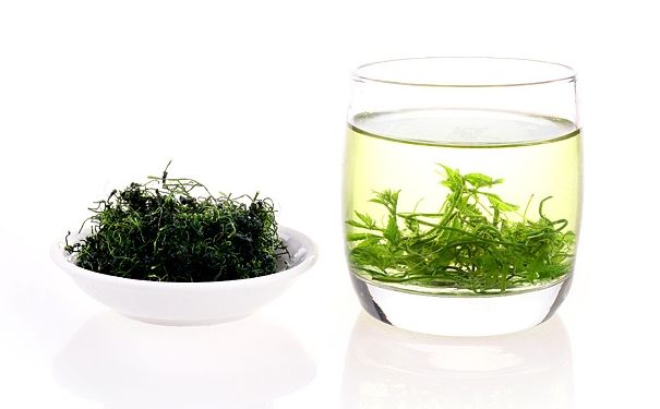 喝绞股蓝有什么好处？绞股蓝茶的功效与作用(1)