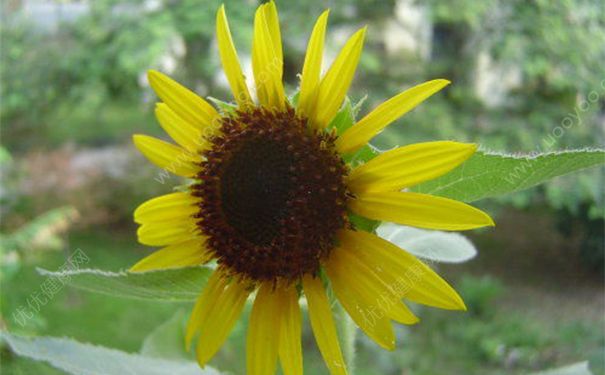 卫生间臭味很重怎么办？卫生间臭味怎么处理？[图]