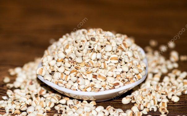 孕妇能吃薏米吗？孕妇适合吃什么食物？(1)