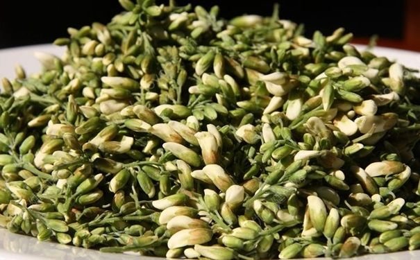 槐米是什么？槐米有什么功效和作用？[图]