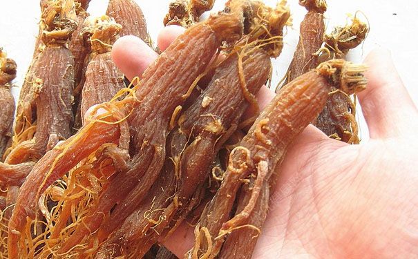 红参有什么功效？红参的功效与作用[图]
