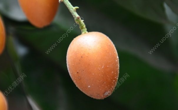 黄皮果哺乳期能吃吗？哺乳期可以吃黄皮吗？(1)