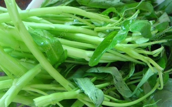 空心菜会解药吗？吃空心菜能吃药吗？(1)