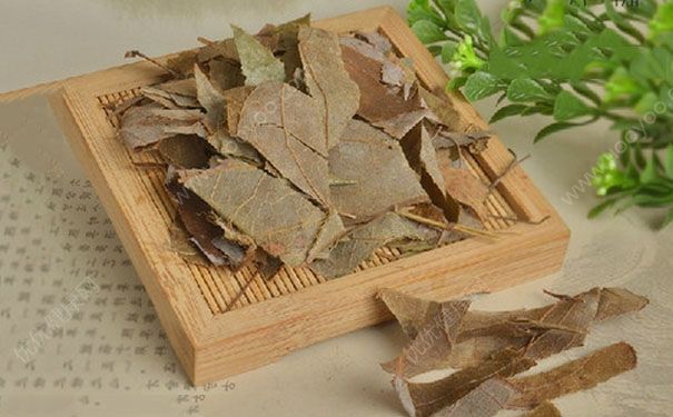 仙灵脾的功效与作用有哪些？淫羊藿的功效与作用[图]