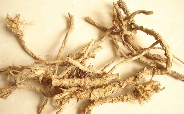 防风有什么作用？防风的功效与作用[图]
