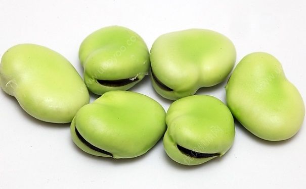 防癌的食物有哪些？常吃什么食物能预防癌症？(1)