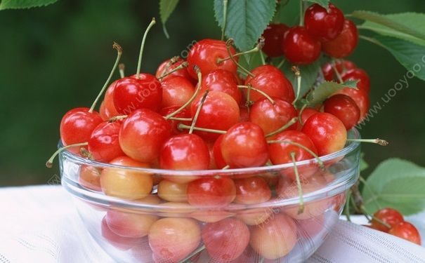 经期能吃樱桃好吗？月经期可以吃樱桃吗？[图]