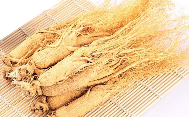 白参有什么功效？白参的功效与作用禁忌[图]