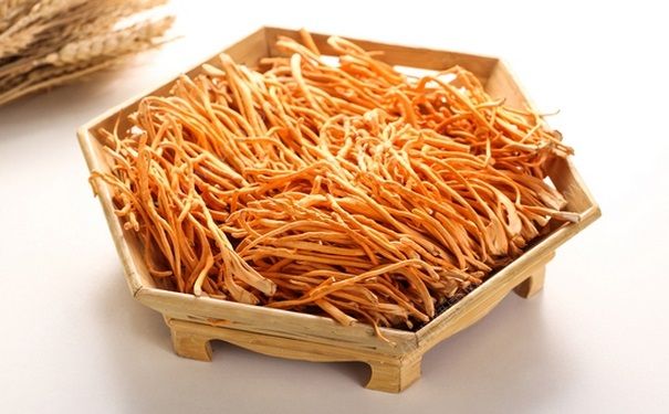 虫草花是什么东西？虫草花的功效是什么？[图]