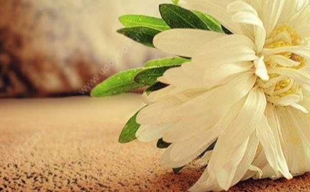 排毒最强的食物有哪些？吃哪些食物排毒最强？(1)