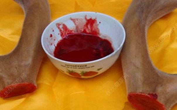 鹿血有什么作用？鹿血的功效与作用[图]