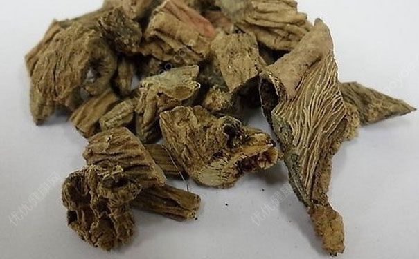 川断有什么功效？川断的功效与作用[图]
