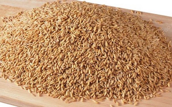 浮小麦有什么功效？浮小麦的功效与作用及食用方法[图]
