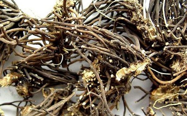 威灵仙有什么功效？威灵仙的功效与作用(1)