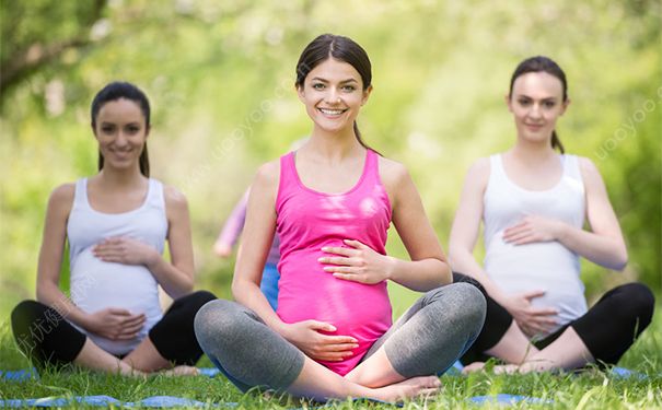 孕妇吃什么比较好又有营养呢？孕妇食谱大全及做法[图]