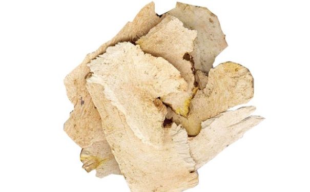 土茯苓有什么作用？土茯苓有哪些功效？(1)