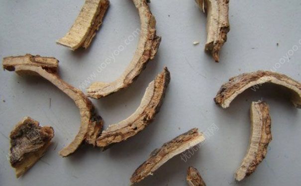 合欢皮有什么功效？合欢皮的功效与作用(1)