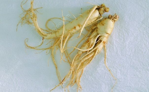 夏天吃人参好吗？夏天能吃人参吗？(1)
