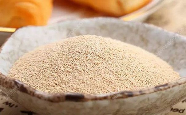 酵母粉能美白牙齿吗？酵母粉刷牙能美白吗？[图]