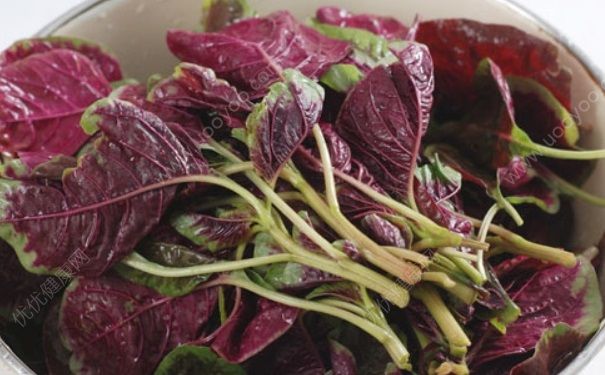 吃苋菜大便会红吗？吃苋菜小便会红吗？[图]