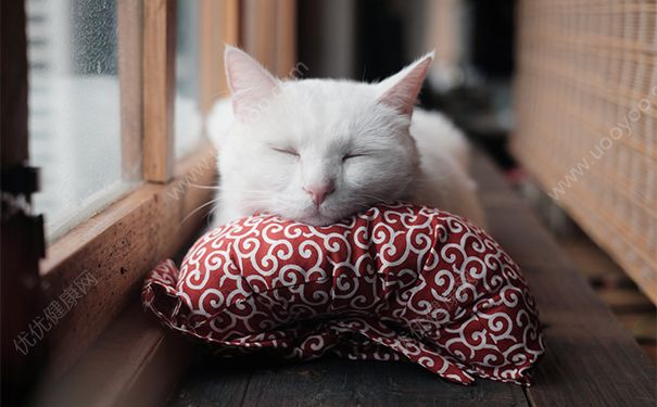 午睡最佳时间是多久？午睡最佳时间几点开始？[图]