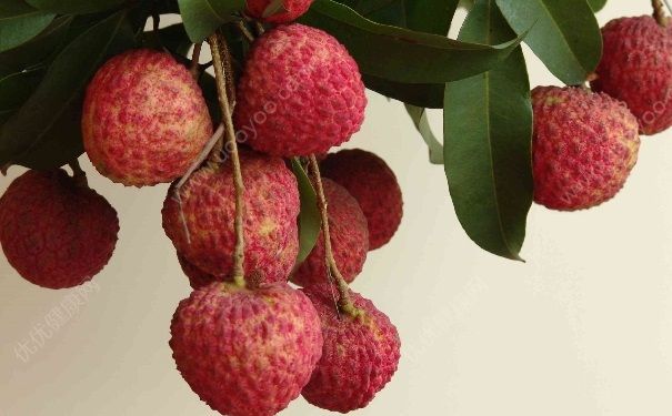 荔枝怎么吃不上火？吃荔枝上火怎么办？[图]