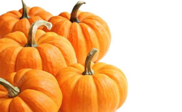 吃什么食物养胃？养胃吃什么食物好？[图]