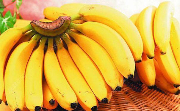 润肠通便吃什么好？润肠通便的食物[图]