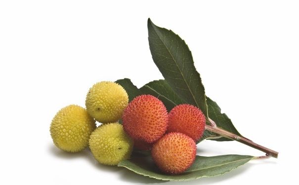 夏季吃什么食物养生？夏季最适合食用的养生食品推荐[