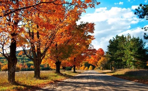 秋分养生要注意什么？秋分养生注意事项有哪些？[图]