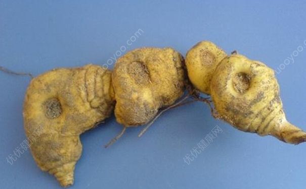 黄精是什么？黄精有什么作用？(1)