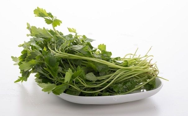 益母草什么时候吃好？益母草什么时候吃效果好？(1)