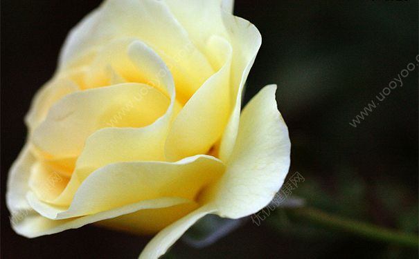 素颜霜需要卸妆吗？素颜霜要不要卸妆？(1)