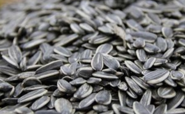 瓜子受潮不脆了怎么办？如何让受潮的瓜子变脆？[图]