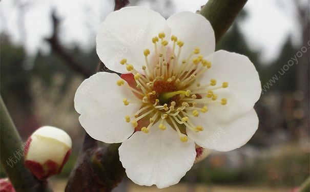吃东西噎住了怎么办？吃东西被噎住了怎么办？[图]